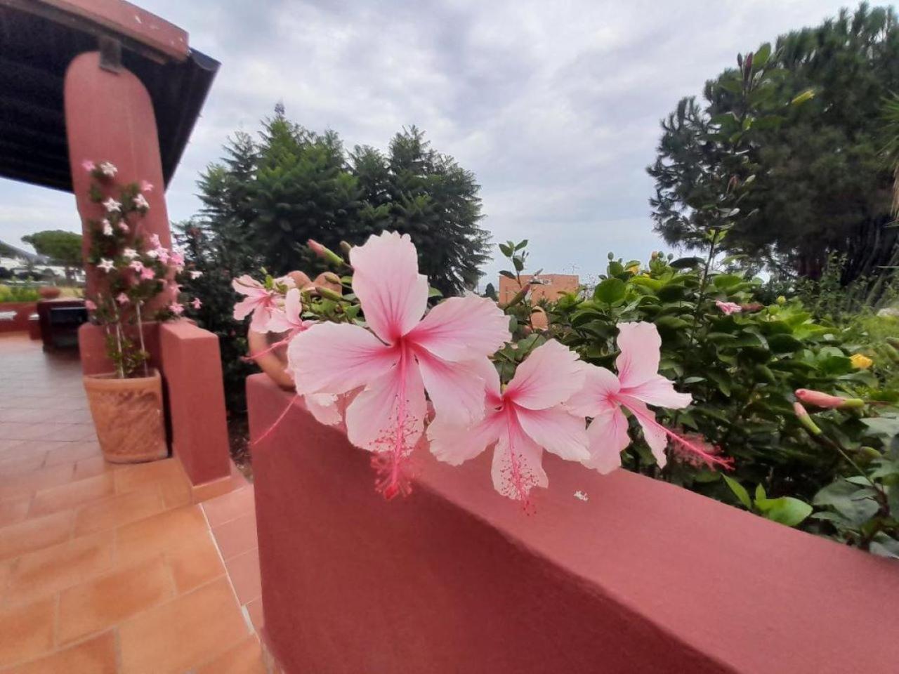 Lingua Villino Miraglia Bed & Breakfast エクステリア 写真