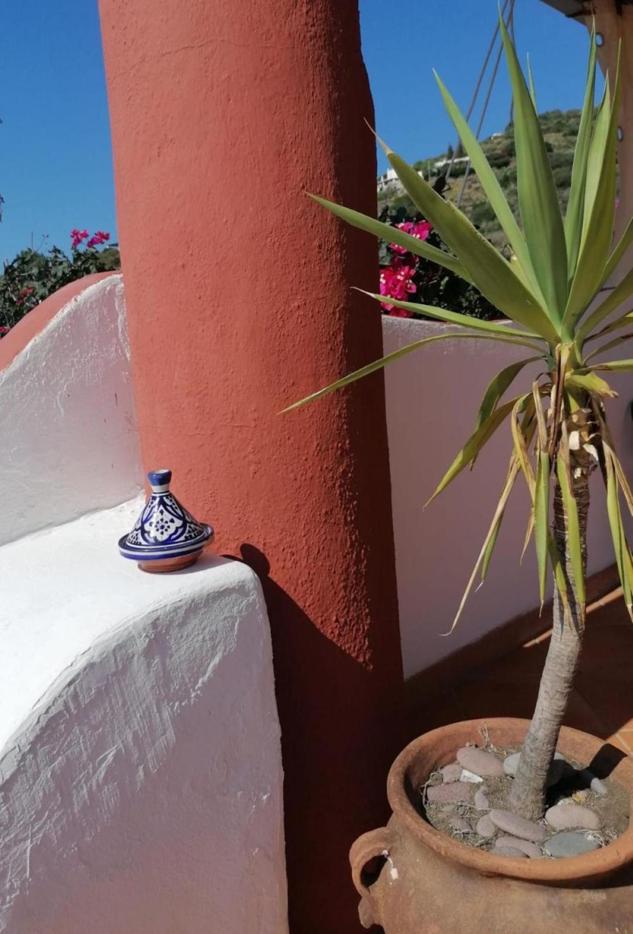 Lingua Villino Miraglia Bed & Breakfast エクステリア 写真